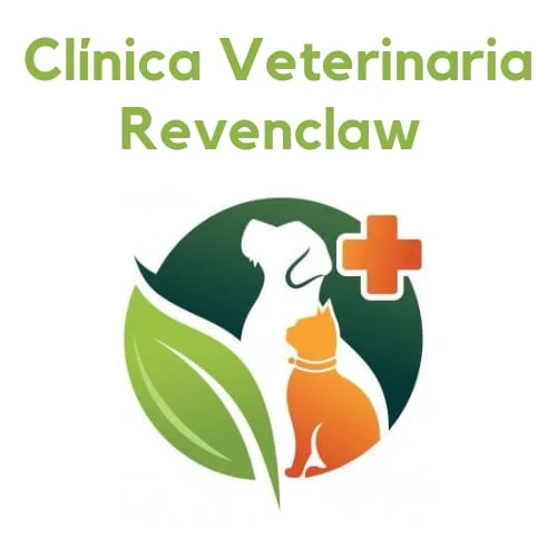 Empresa 5